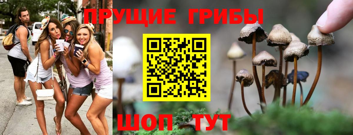 Псилоцибиновые грибы прущие грибы  Вход с VPN  Галлюциногенные грибы прущие грибы  Обь 